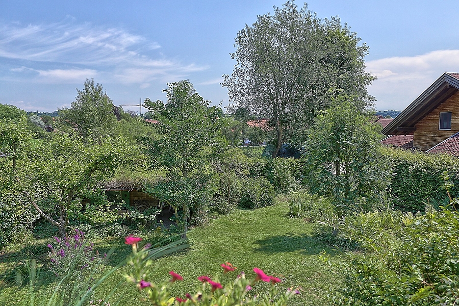 Eingewachsener Garten