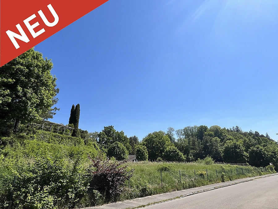 Baugrundstück mit Potential