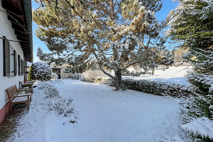 Rückwärtiger Garten