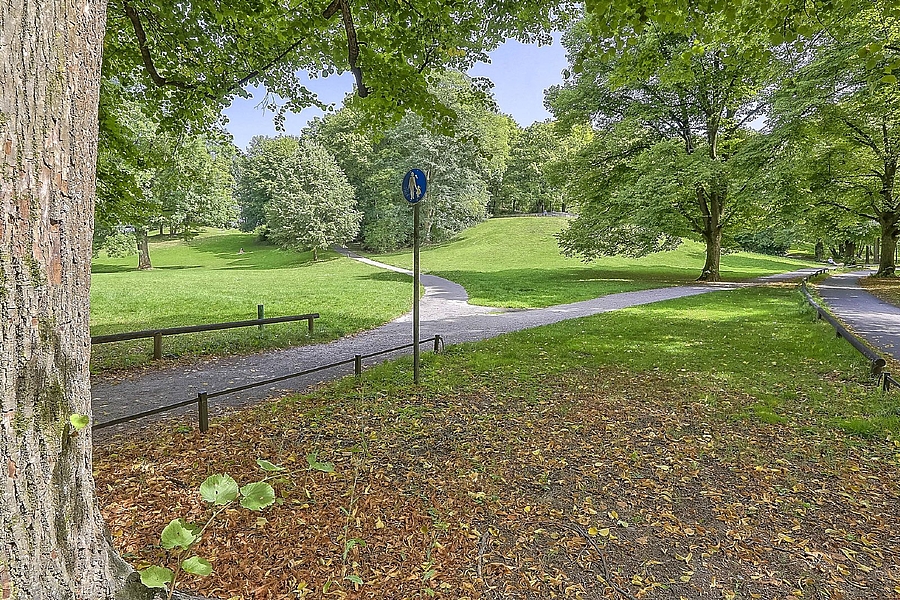 Direkt am Luitpoldpark