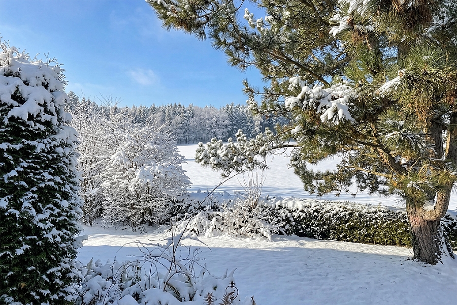 Idyllische Waldrandlage