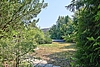 Südlicher Gartenblick