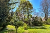 Der Garten