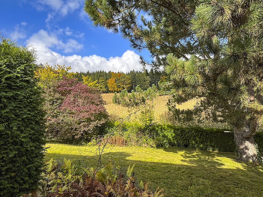 Unverbaubare Waldrandlage