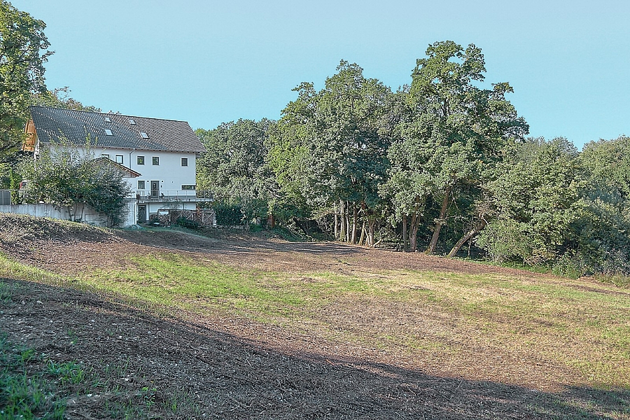 Blick nach Süd-West