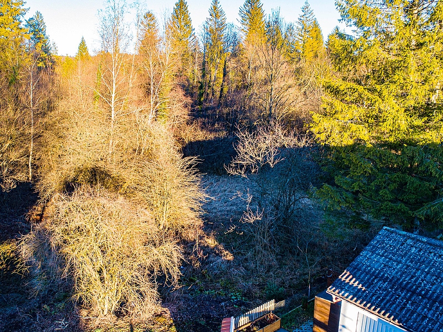 Idyllisches Baugrundstück