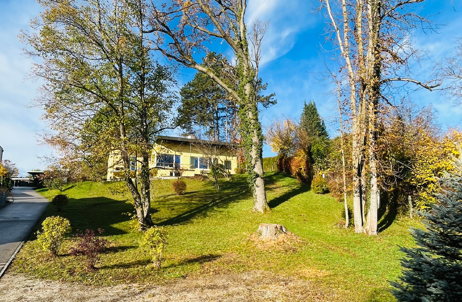 Alles Besonders Schön