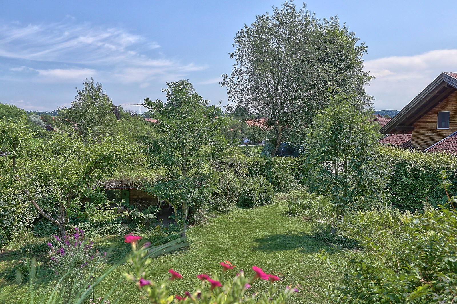 Eingewachsener Garten