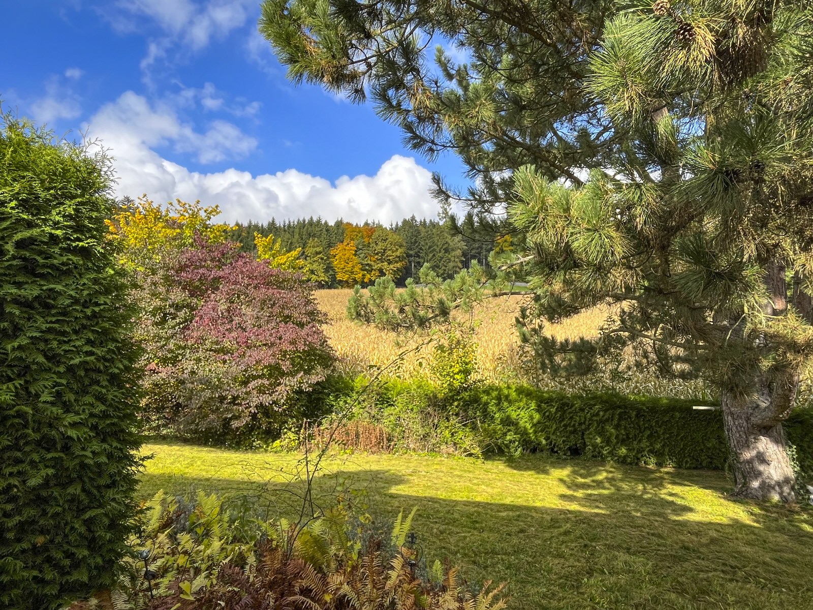 Unverbaubare Waldrandlage