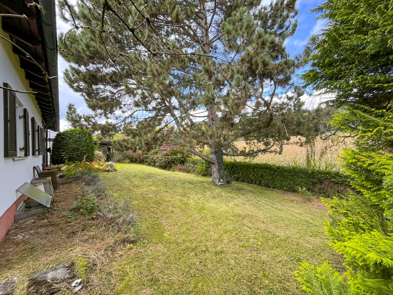 Rückwärtiger Garten