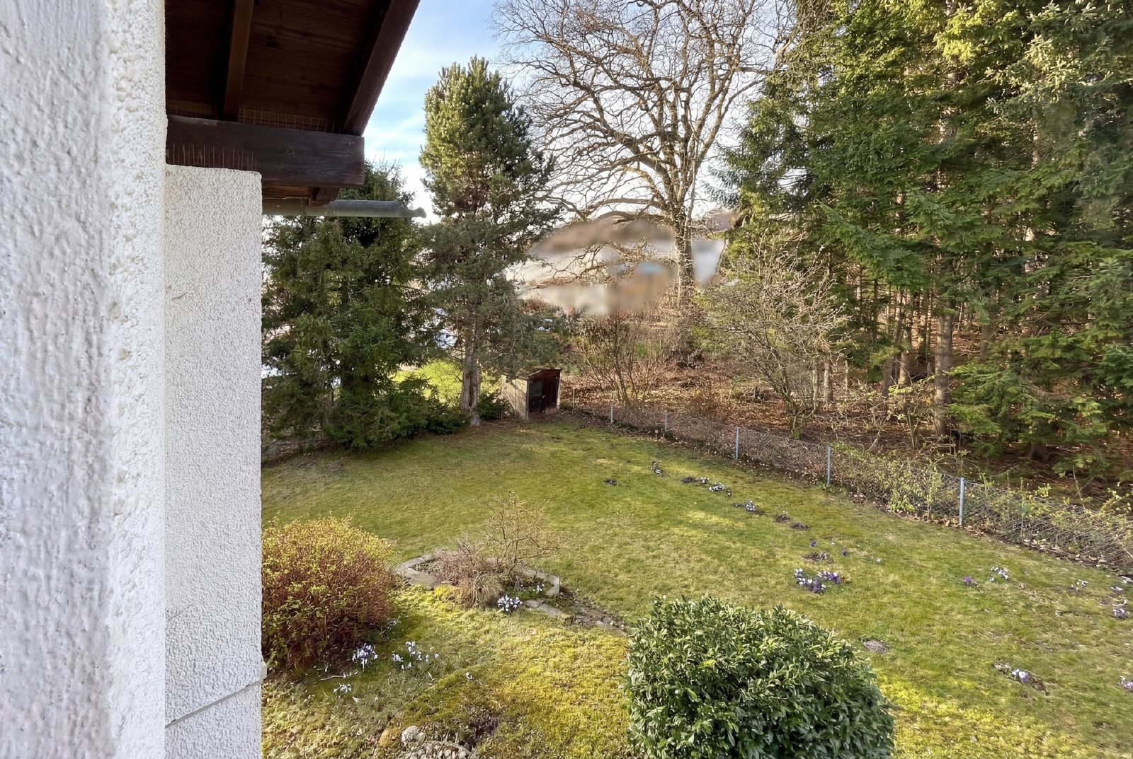 Blick in den Garten!