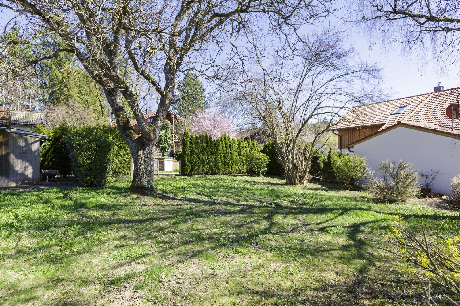 Gartenbereich