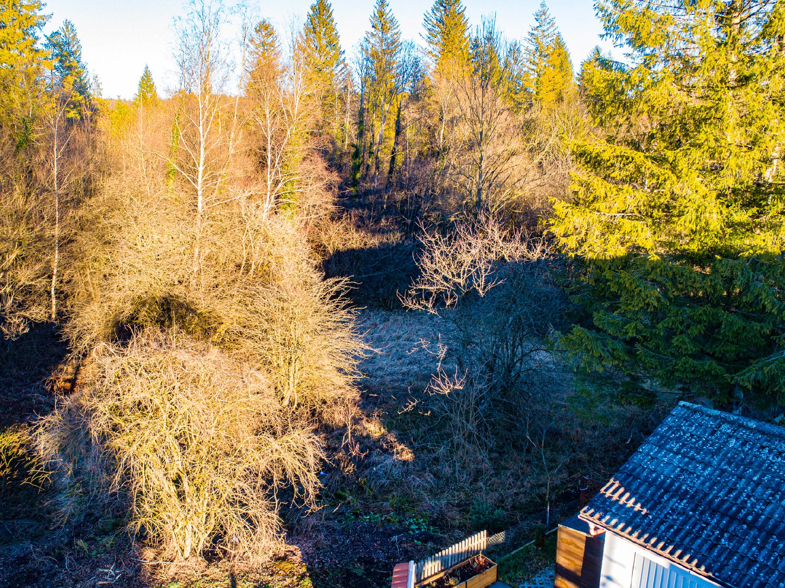 Idyllisches Baugrundstück
