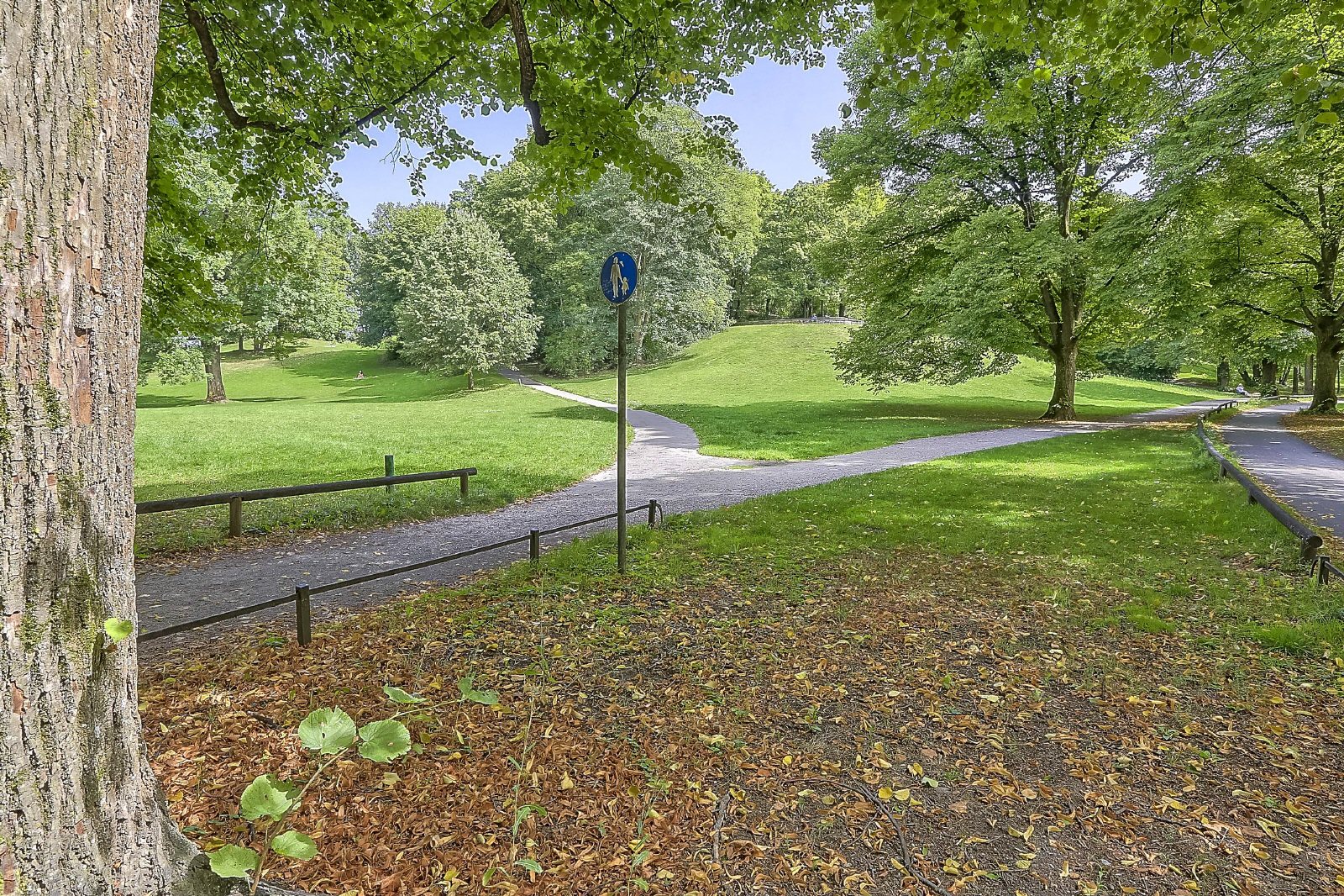 Direkt am Luitpoldpark