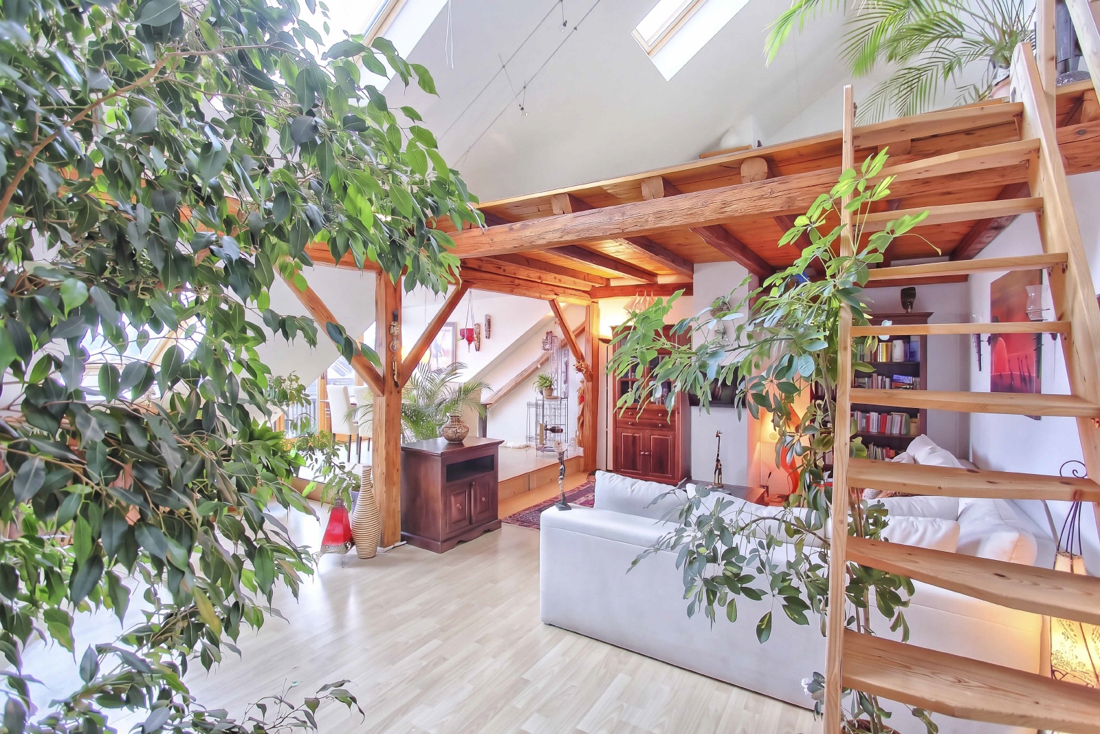 Wohnungsknüller